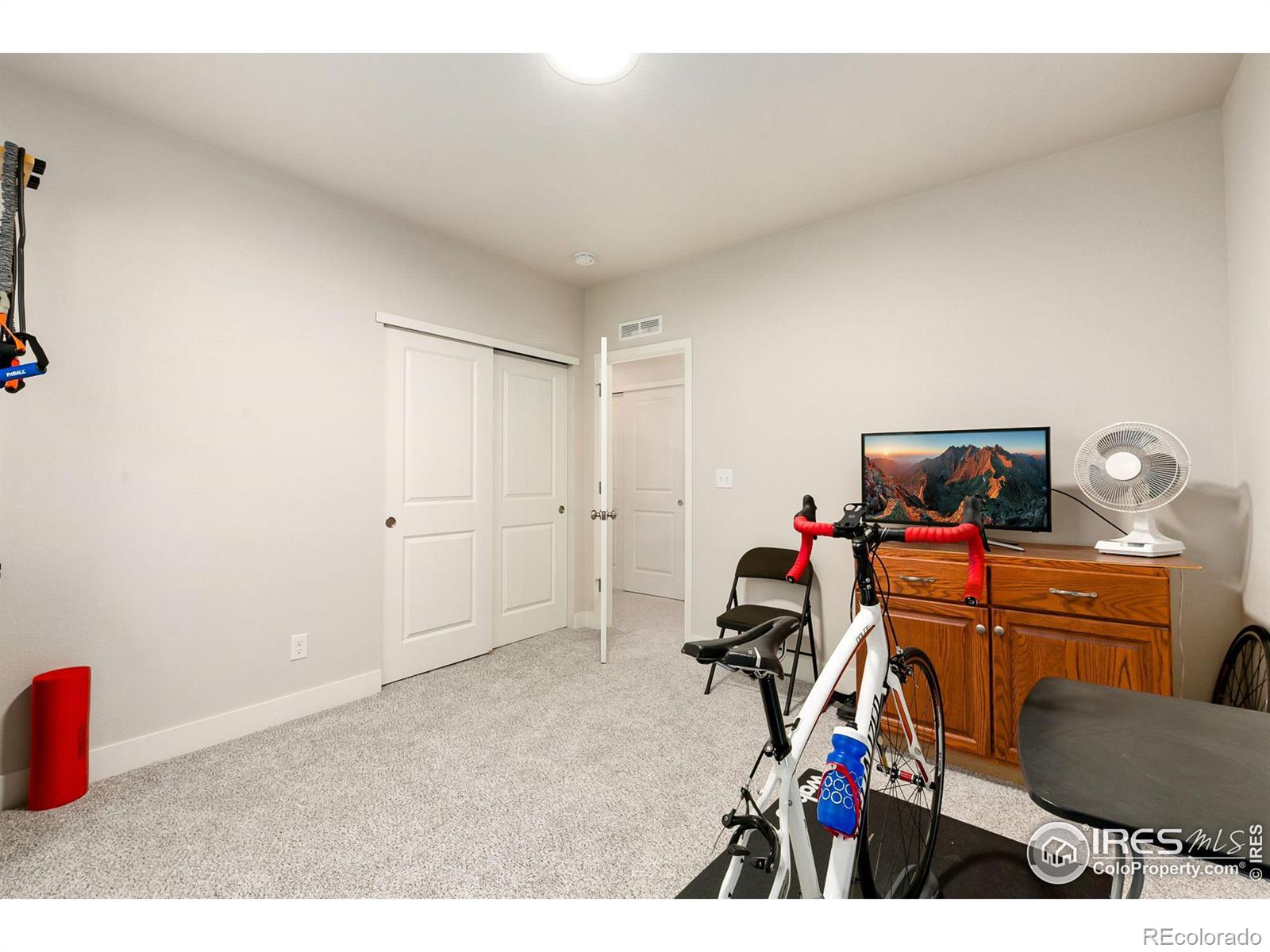 MLS Image #22 for 6001  goodnight avenue,timnath, Colorado