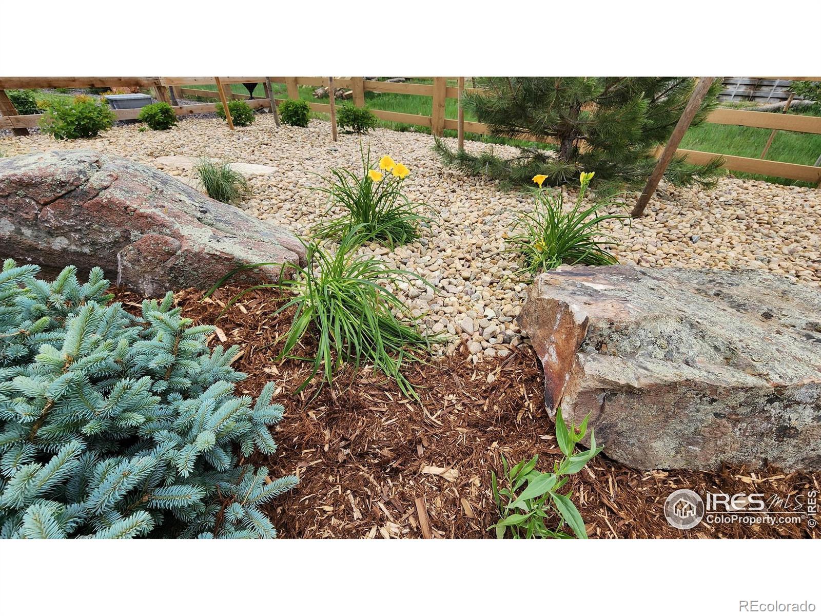MLS Image #31 for 6001  goodnight avenue,timnath, Colorado