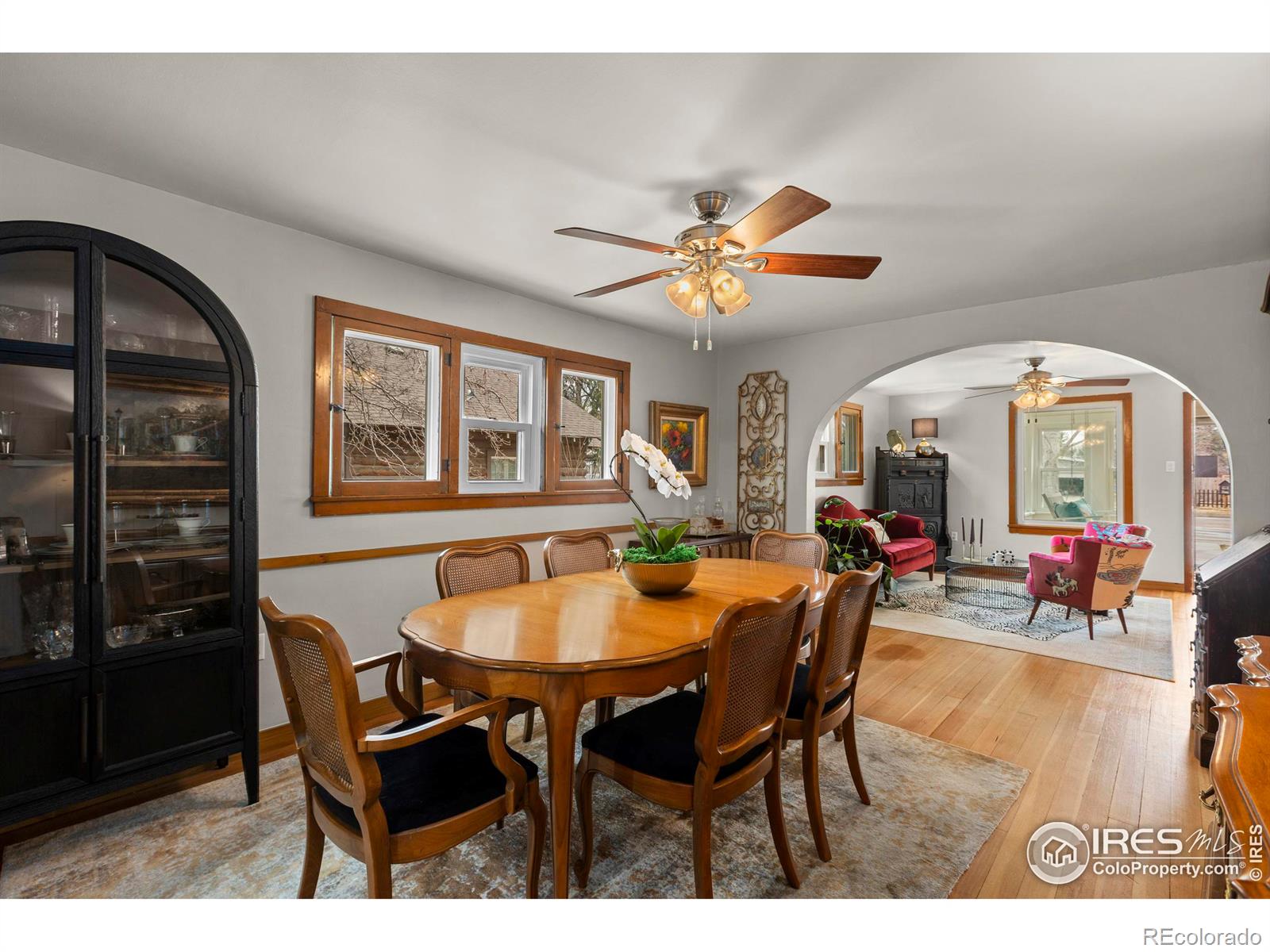 MLS Image #11 for 624  walnut street,windsor, Colorado