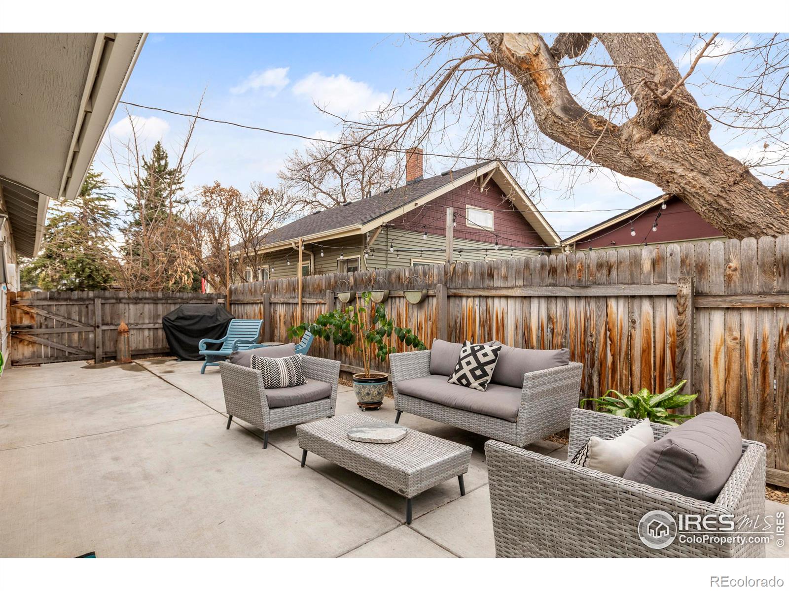 MLS Image #28 for 624  walnut street,windsor, Colorado