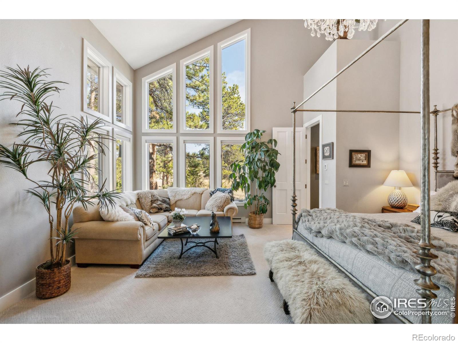 MLS Image #10 for 146  ponderosa court,red feather lakes, Colorado