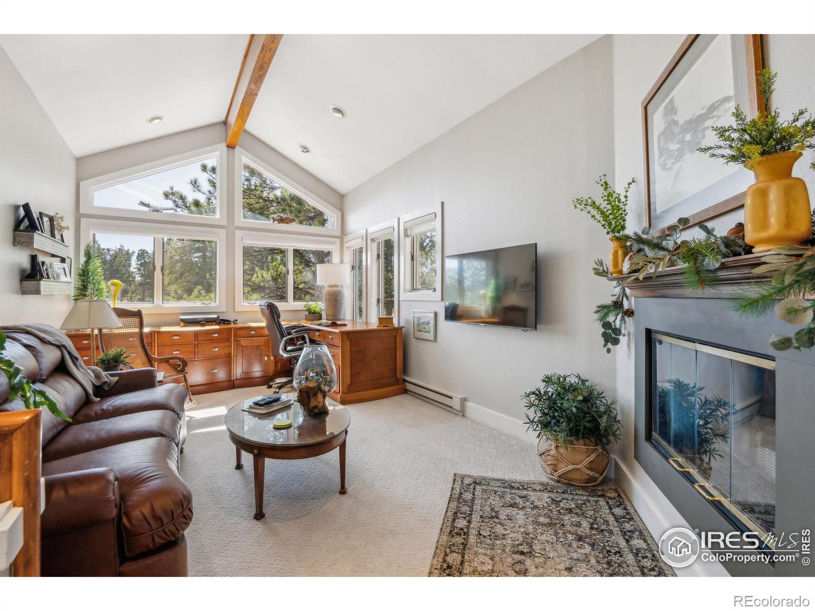 MLS Image #14 for 146  ponderosa court,red feather lakes, Colorado
