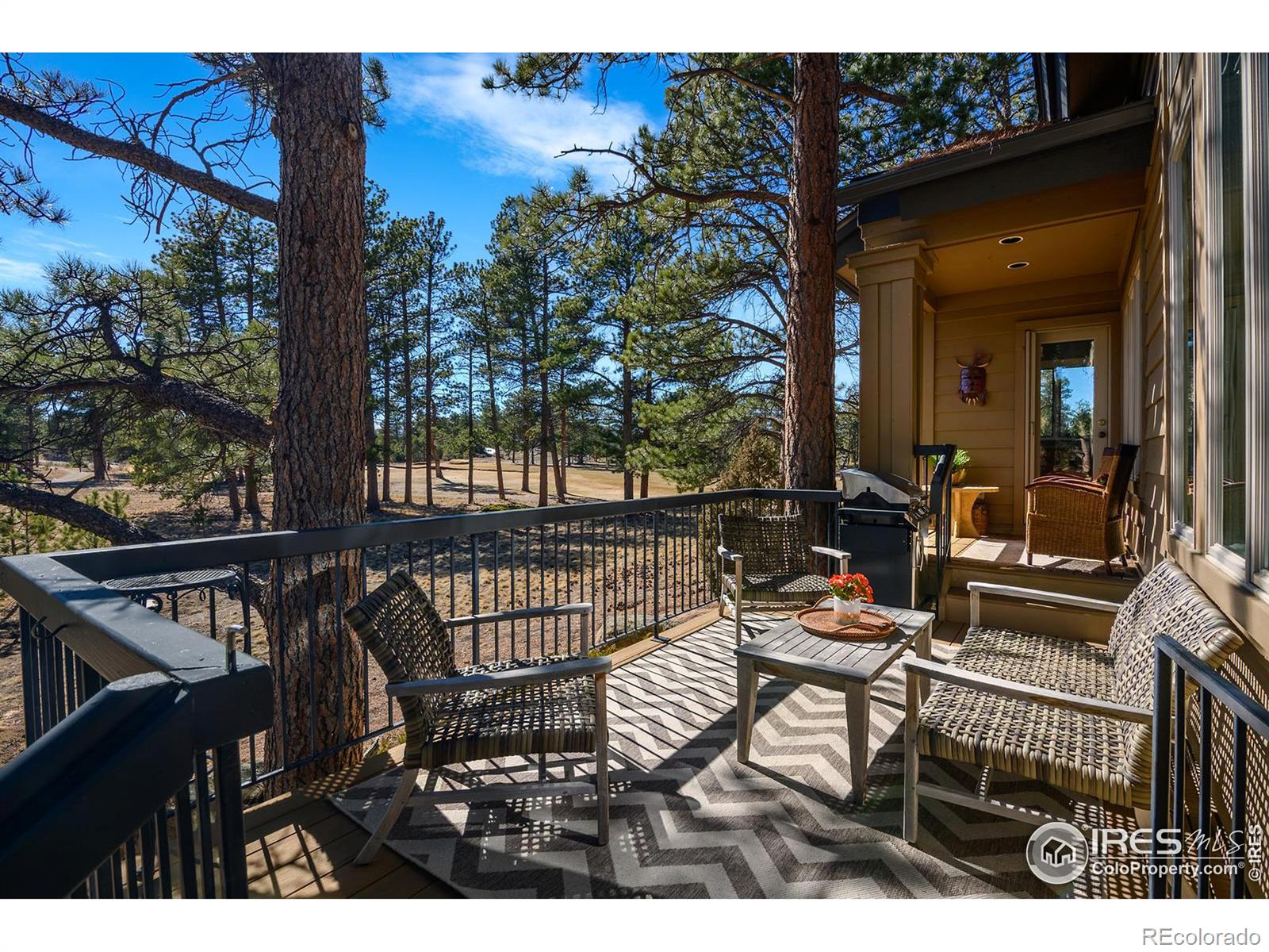 MLS Image #3 for 146  ponderosa court,red feather lakes, Colorado