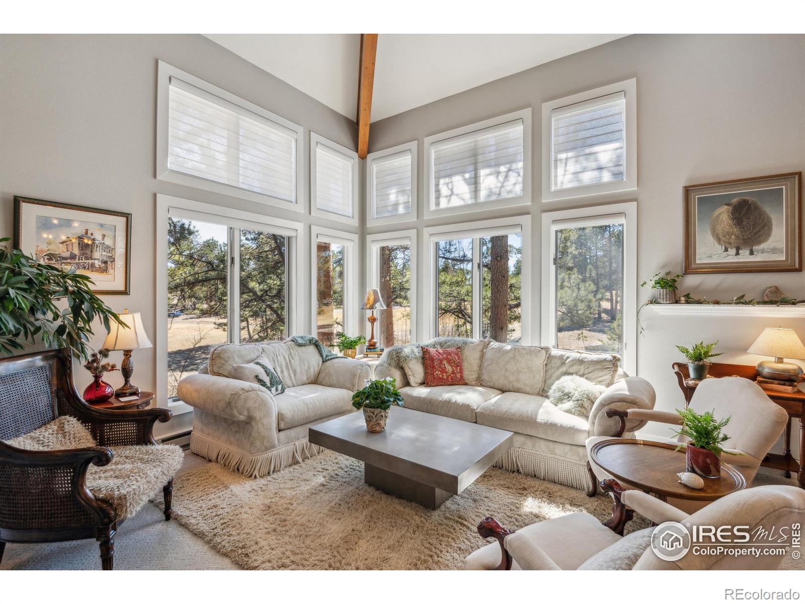 MLS Image #7 for 146  ponderosa court,red feather lakes, Colorado