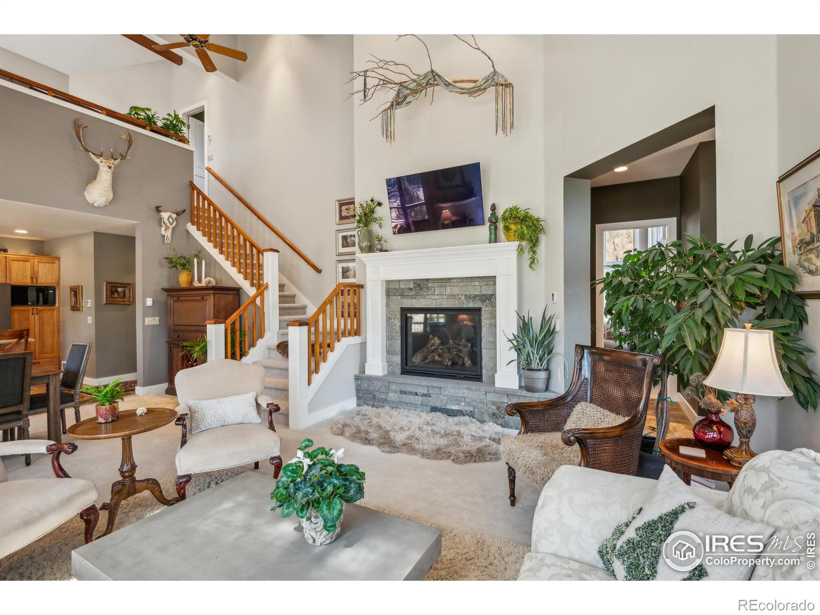 MLS Image #8 for 146  ponderosa court,red feather lakes, Colorado