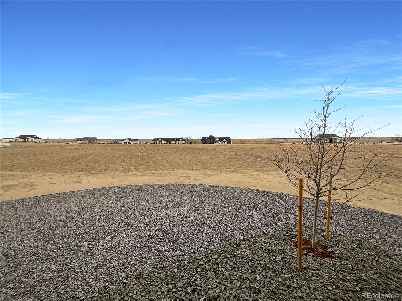 MLS Image #7 for 2648  cutter drive,severance, Colorado