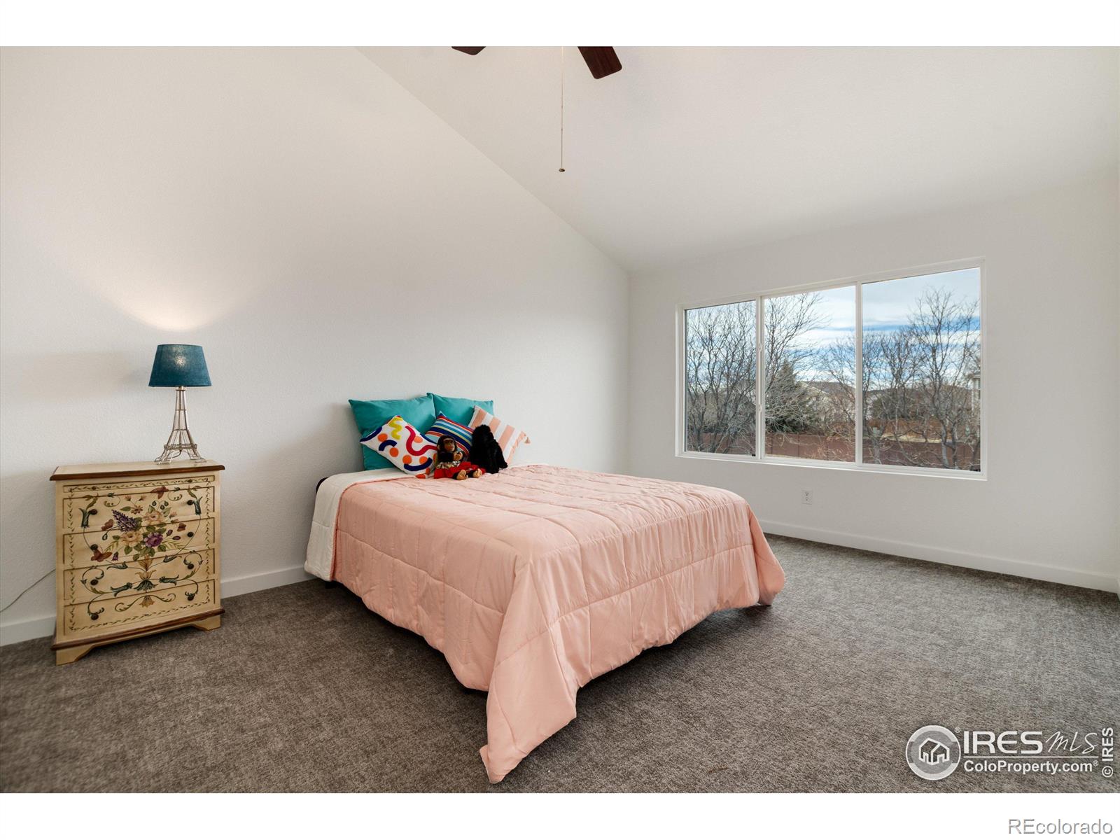 MLS Image #21 for 12993  kearney way,thornton, Colorado