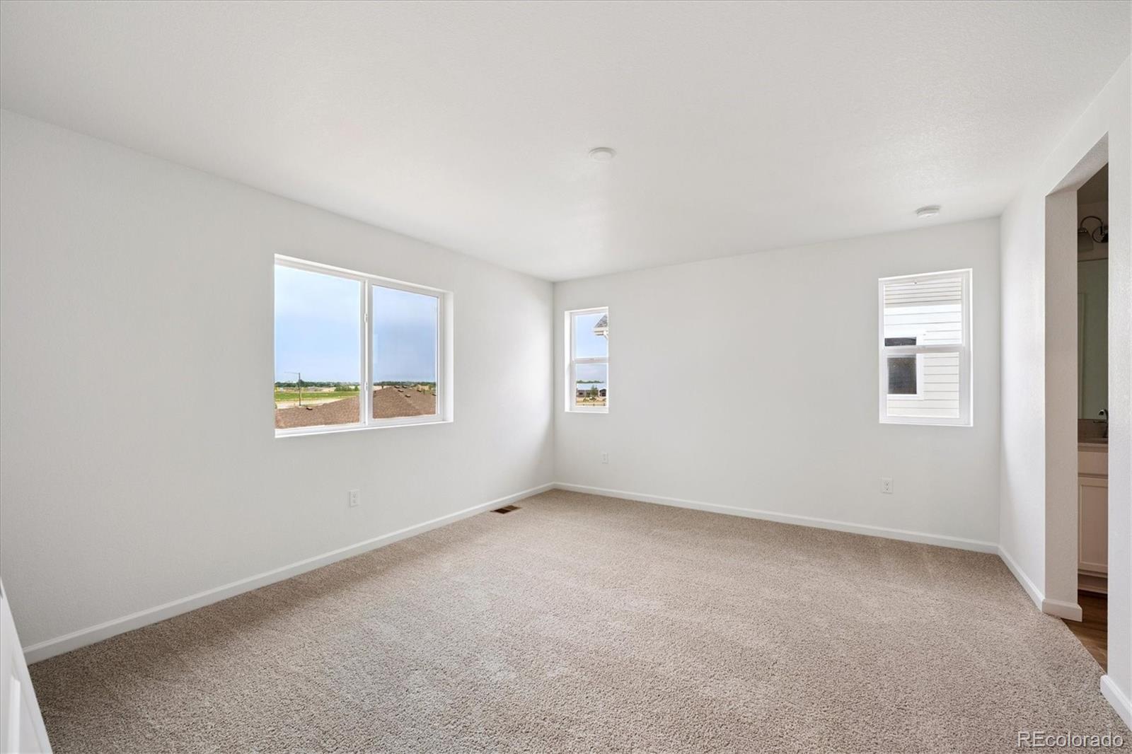 MLS Image #10 for 6179  amerifax drive,windsor, Colorado