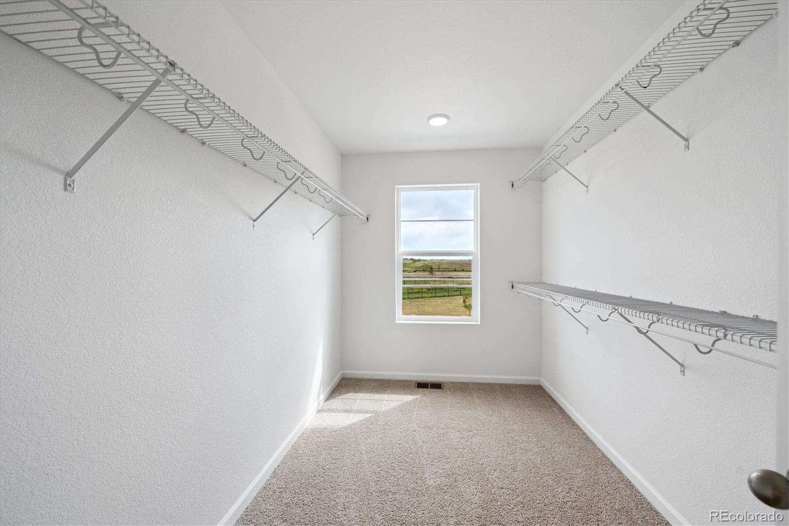 MLS Image #13 for 6179  amerifax drive,windsor, Colorado