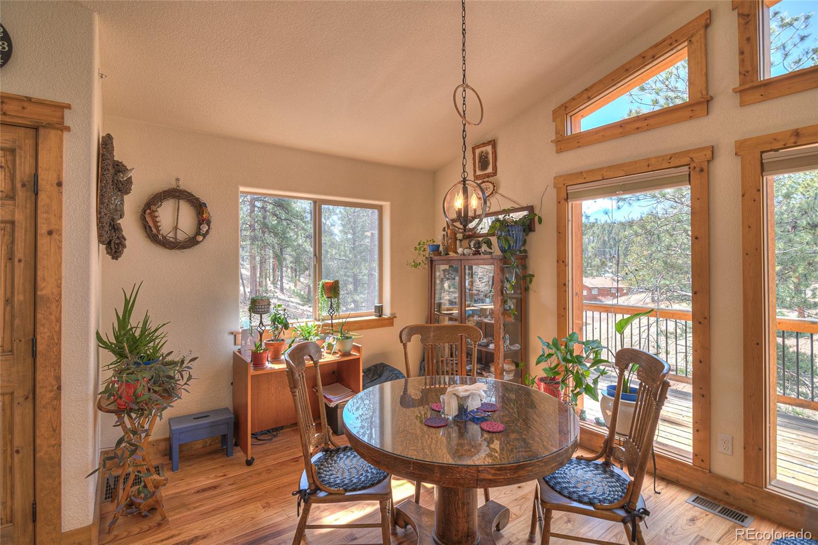 MLS Image #12 for 11845 s stallion drive,pine, Colorado
