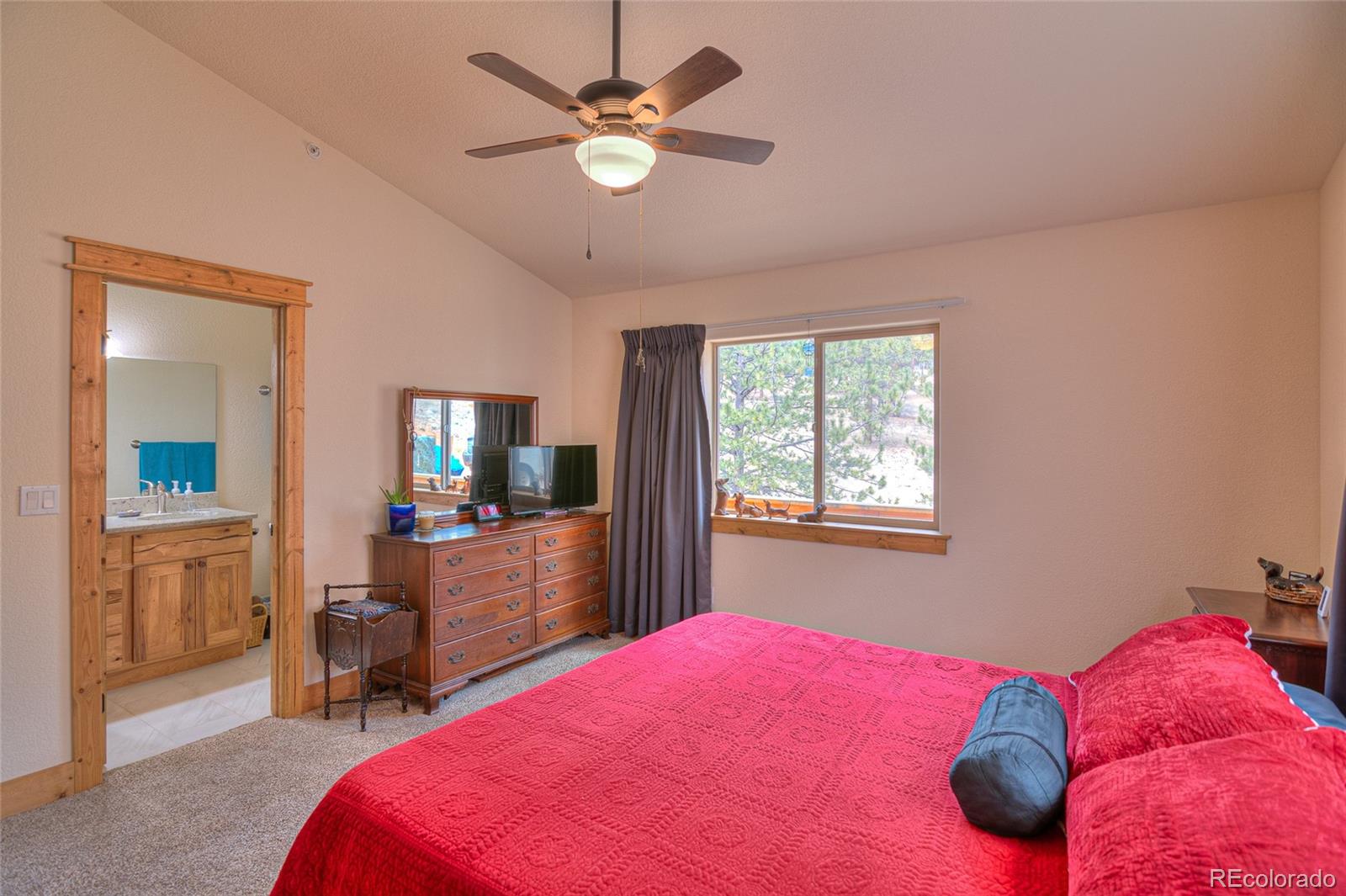MLS Image #21 for 11845 s stallion drive,pine, Colorado