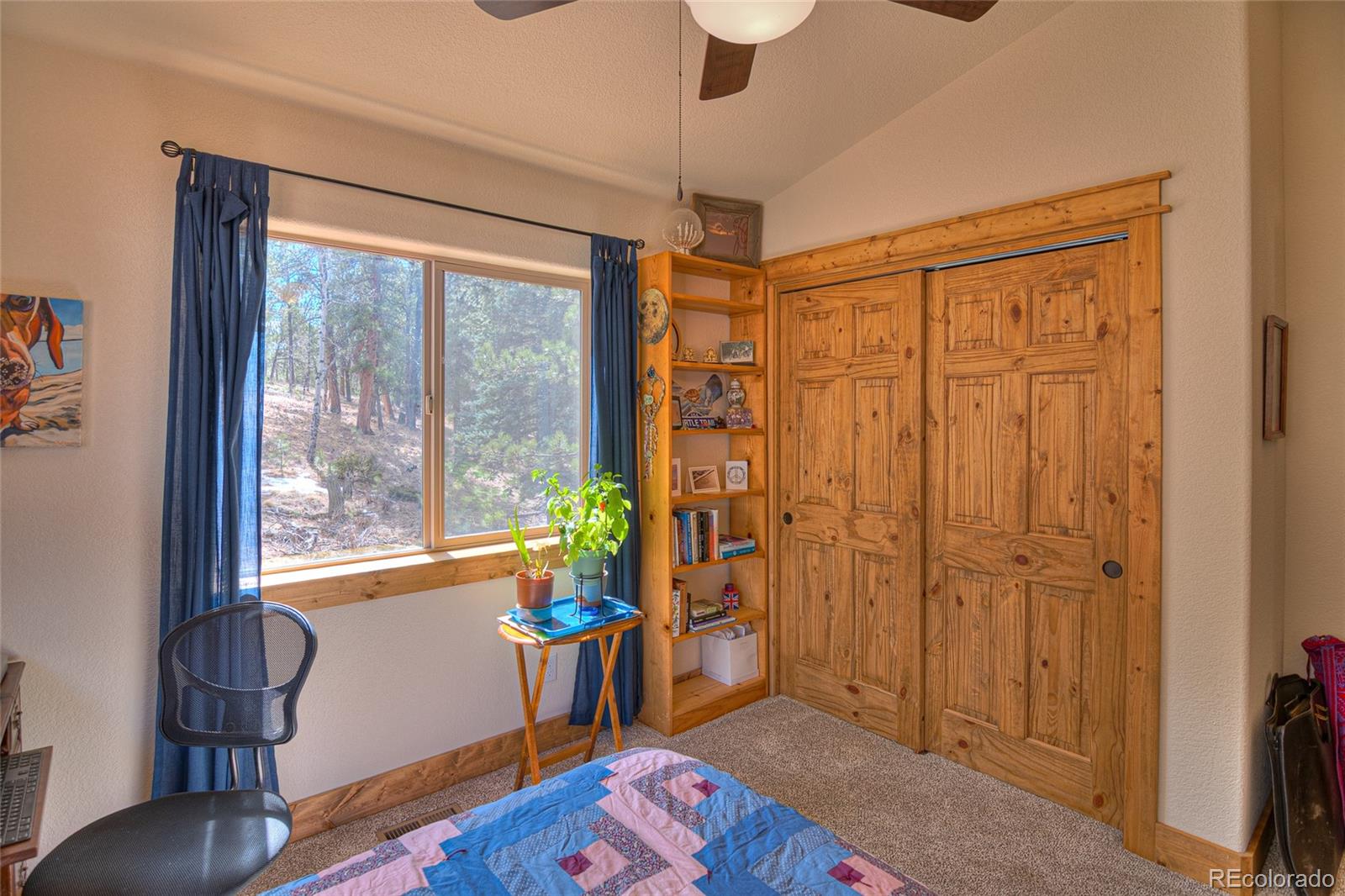 MLS Image #24 for 11845 s stallion drive,pine, Colorado