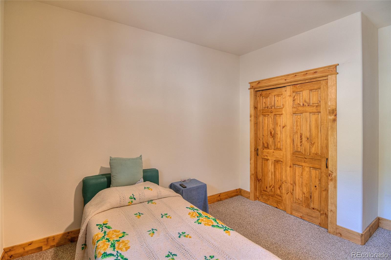 MLS Image #31 for 11845 s stallion drive,pine, Colorado