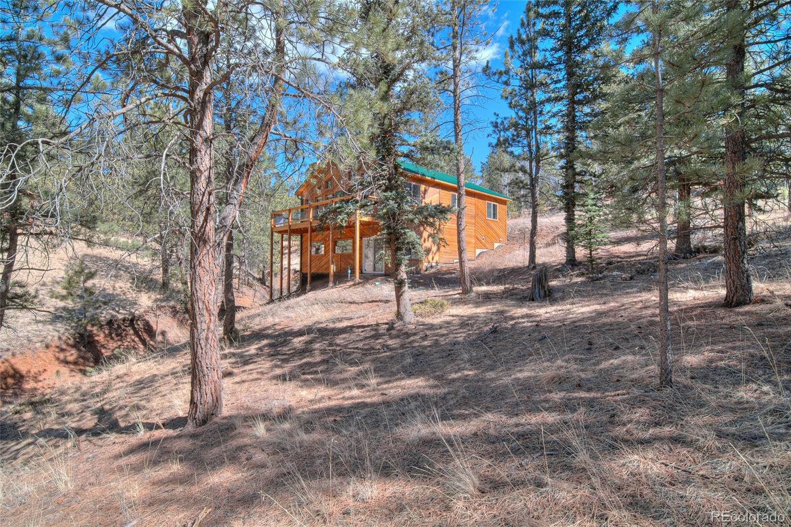 MLS Image #39 for 11845 s stallion drive,pine, Colorado