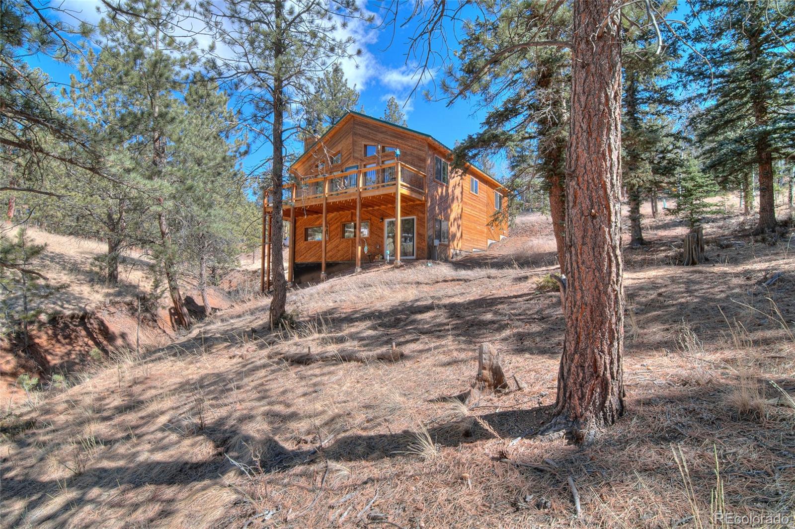 MLS Image #46 for 11845 s stallion drive,pine, Colorado