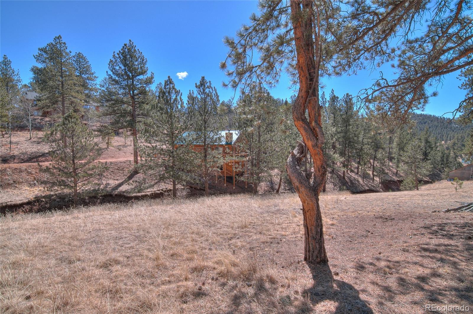 MLS Image #47 for 11845 s stallion drive,pine, Colorado