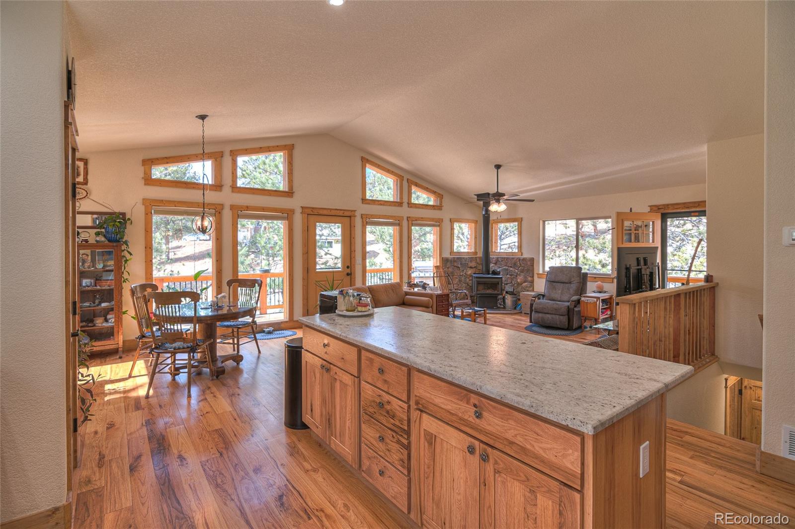 MLS Image #7 for 11845 s stallion drive,pine, Colorado