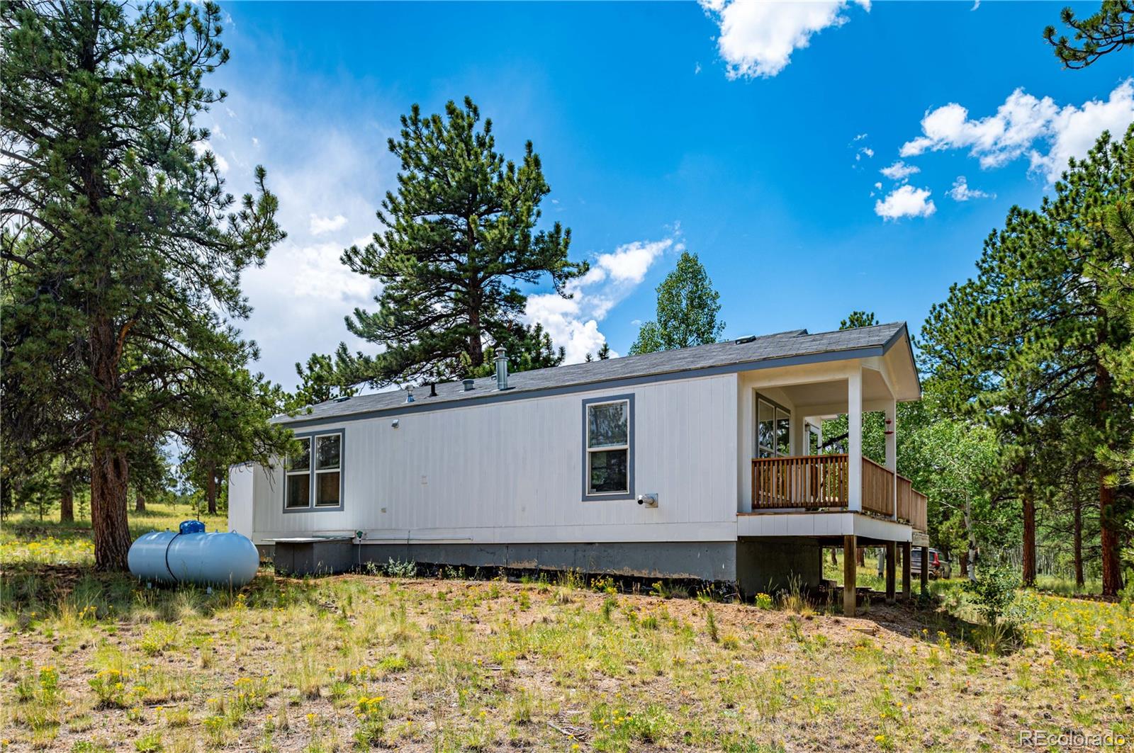 CMA Image for 9674  Ranch Road,Hartsel, Colorado