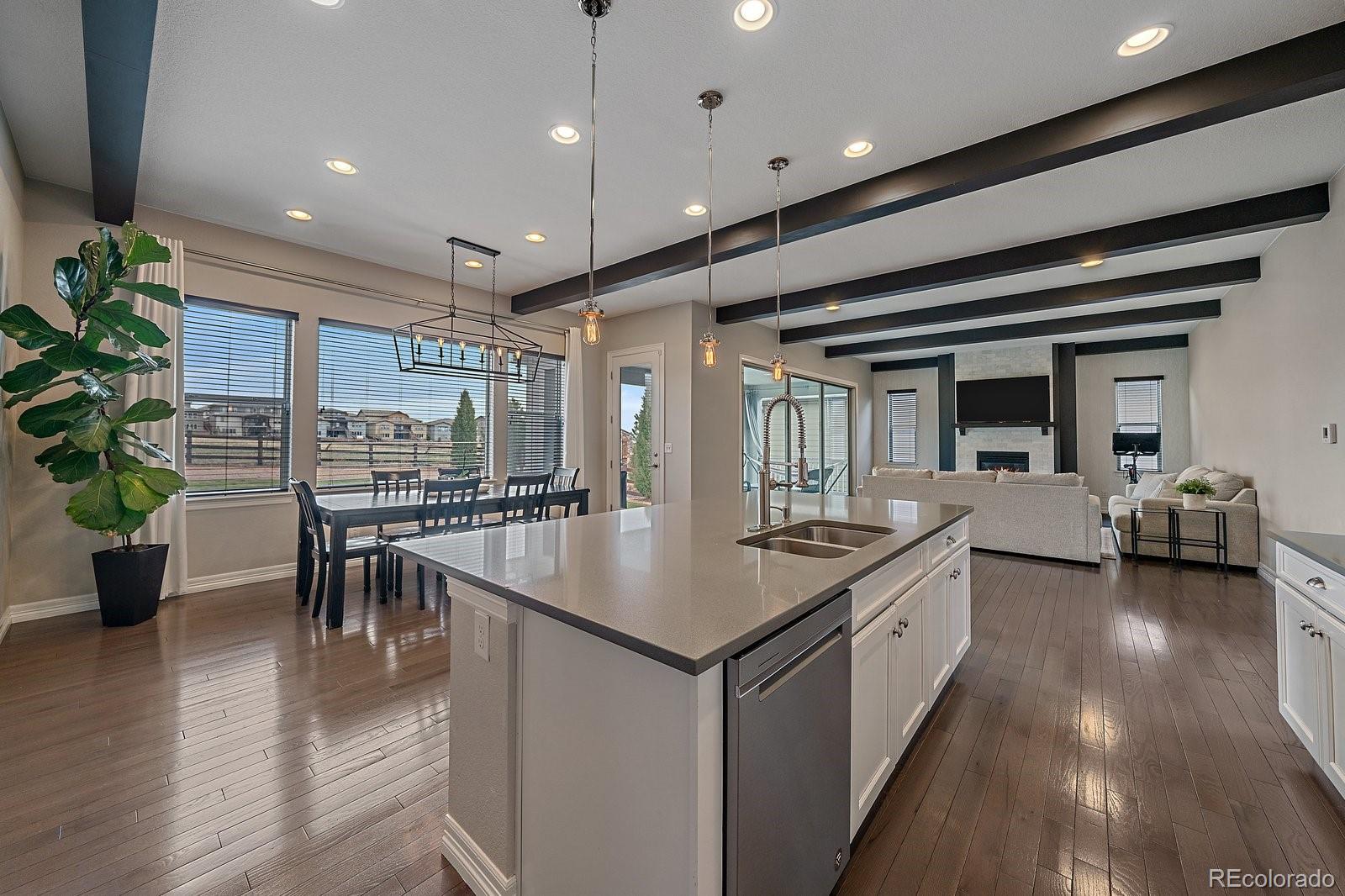 MLS Image #10 for 14589  hagus place,parker, Colorado