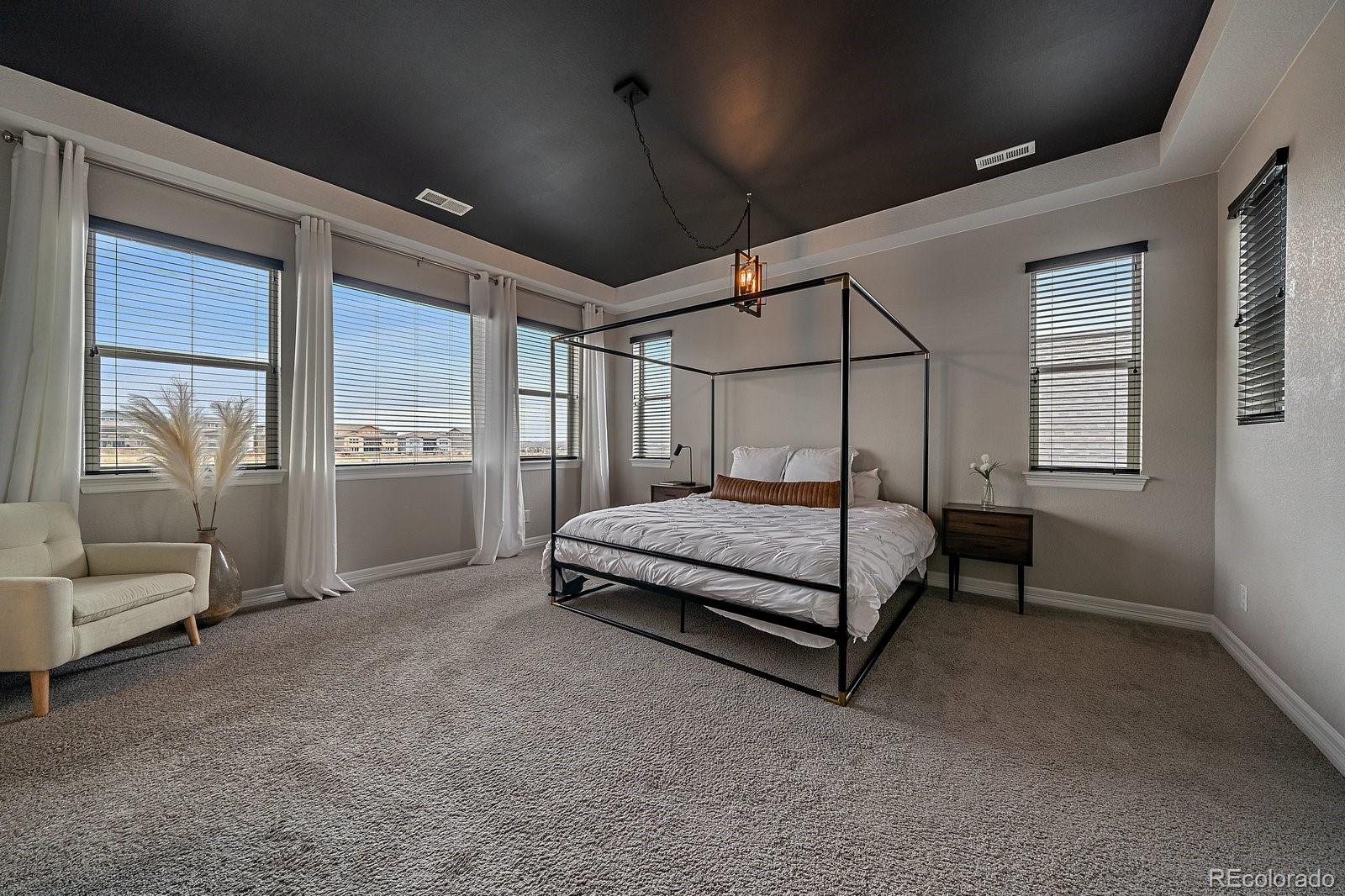 MLS Image #15 for 14589  hagus place,parker, Colorado