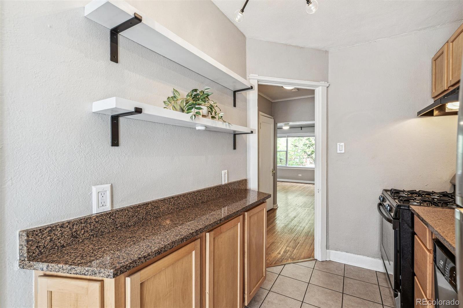 MLS Image #19 for 1416 n downing street,denver, Colorado