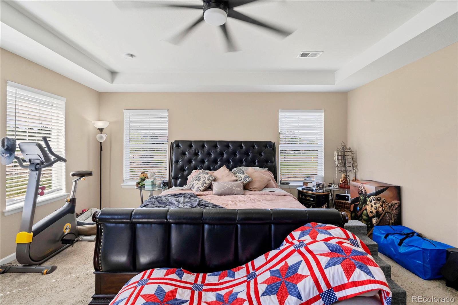 MLS Image #10 for 7265 s millbrook court,aurora, Colorado