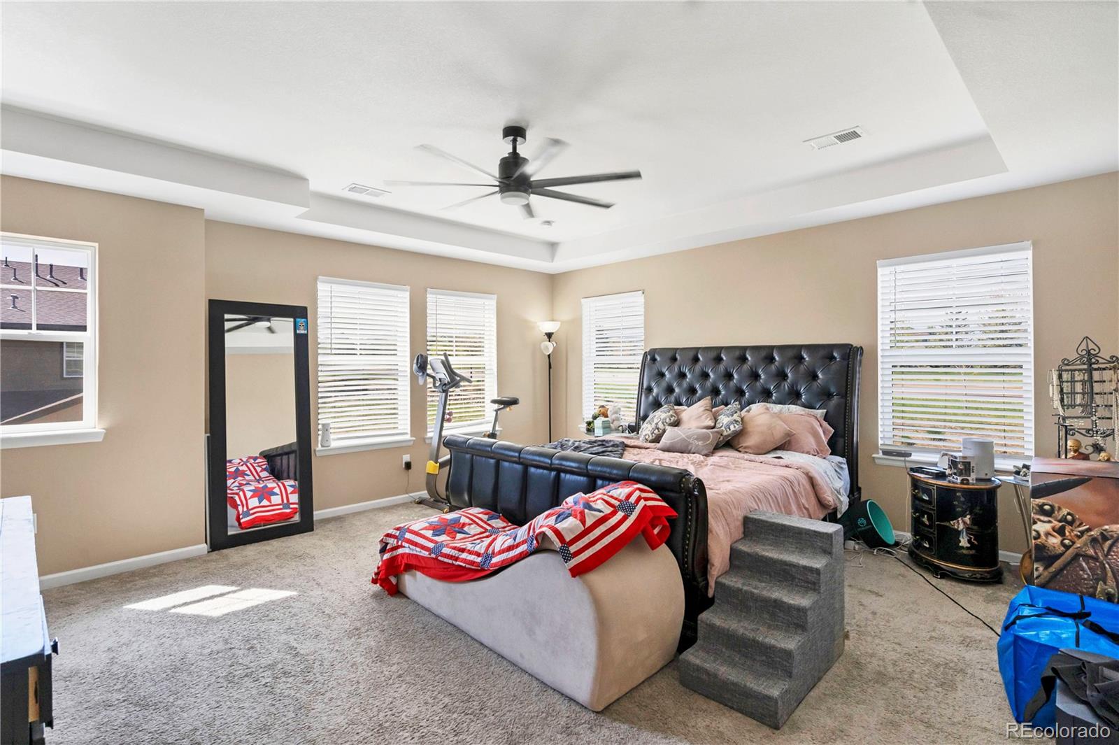 MLS Image #9 for 7265 s millbrook court,aurora, Colorado