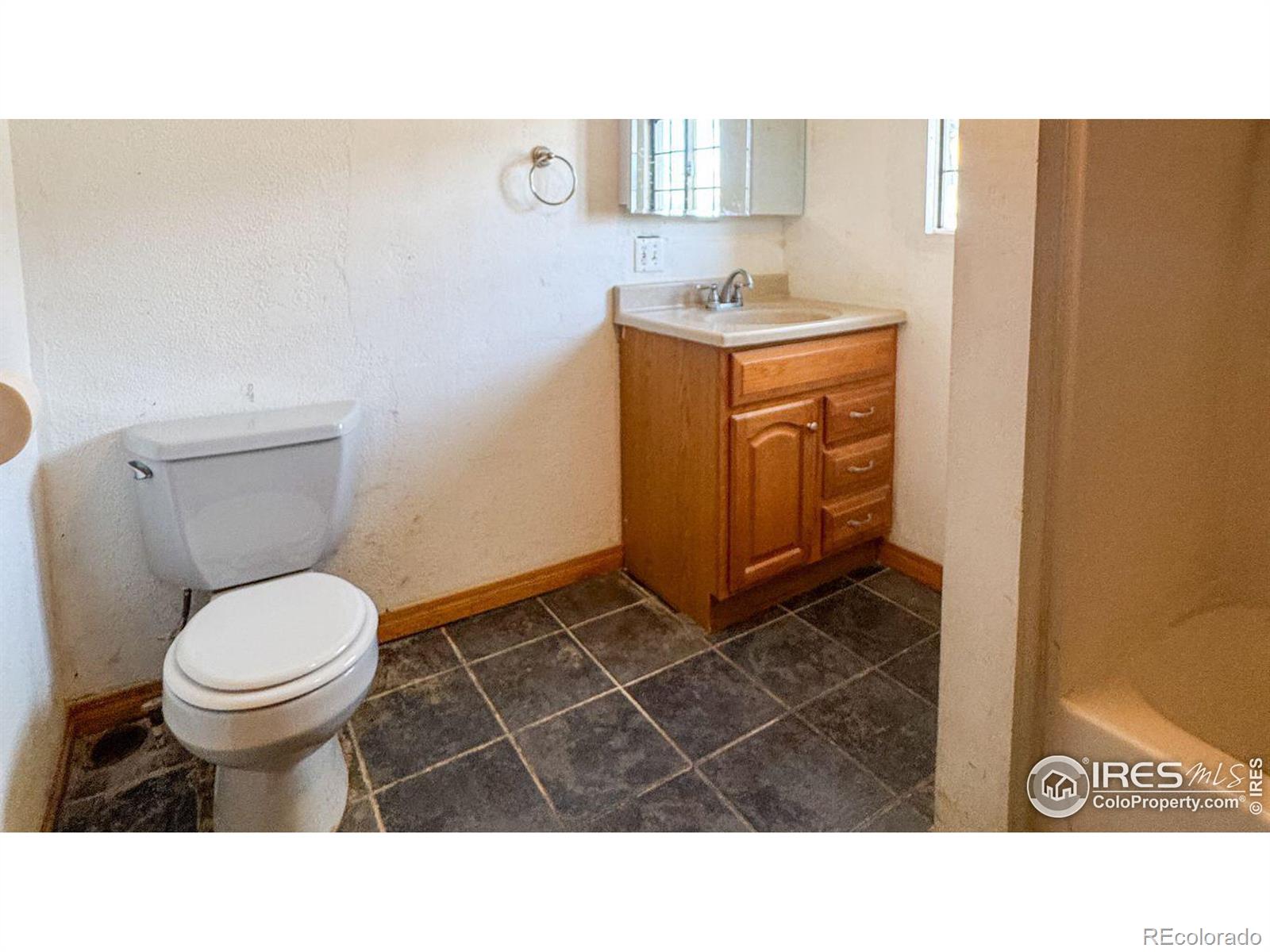 MLS Image #13 for 3828  mckinley avenue,wellington, Colorado