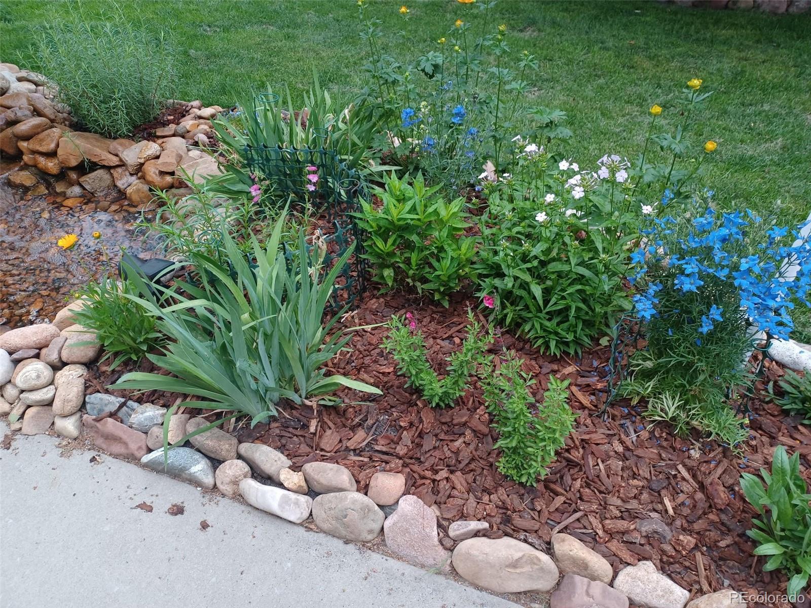 MLS Image #33 for 5520  morgan way,frederick, Colorado