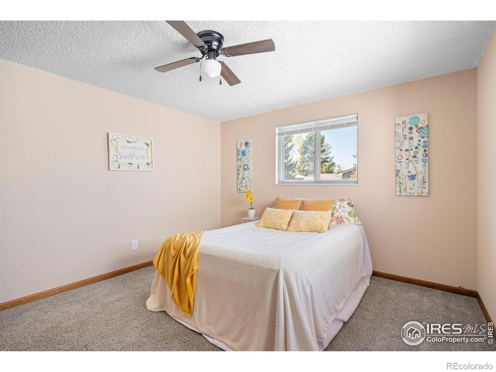 MLS Image #20 for 2144  26th avenue,greeley, Colorado