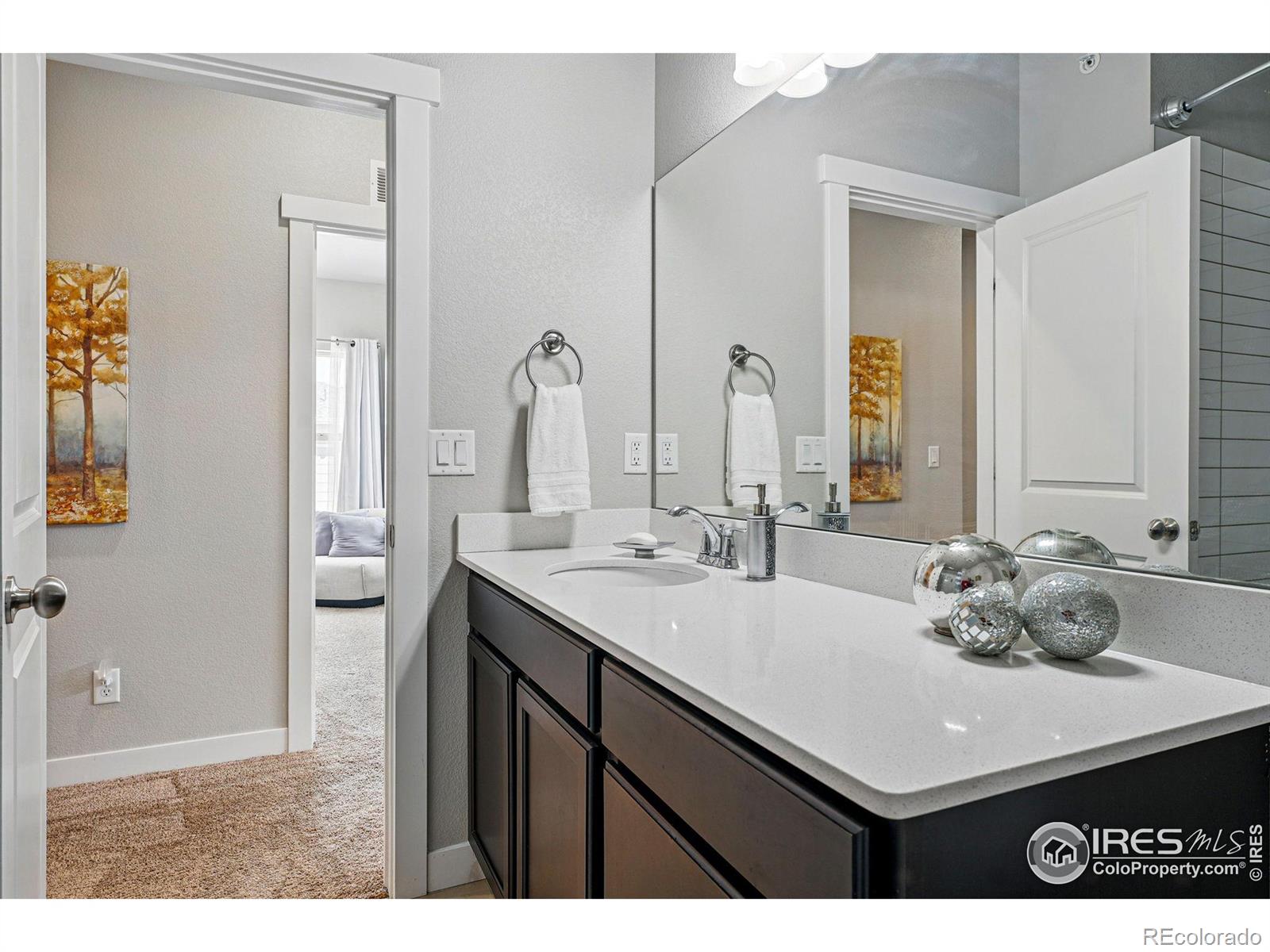 MLS Image #21 for 4153 n park drive,loveland, Colorado