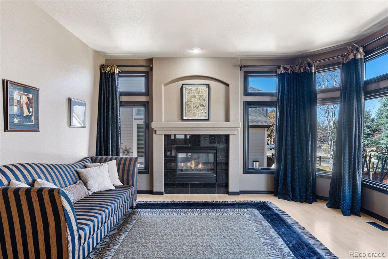 MLS Image #13 for 6440  serengeti circle,lone tree, Colorado