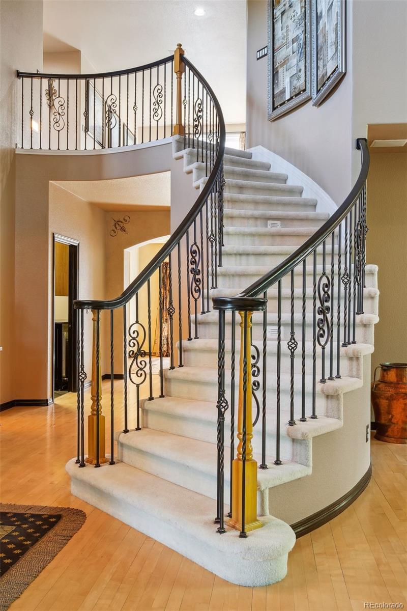 MLS Image #20 for 6440  serengeti circle,lone tree, Colorado