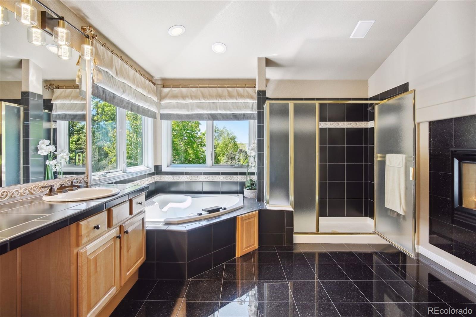 MLS Image #26 for 6440  serengeti circle,lone tree, Colorado
