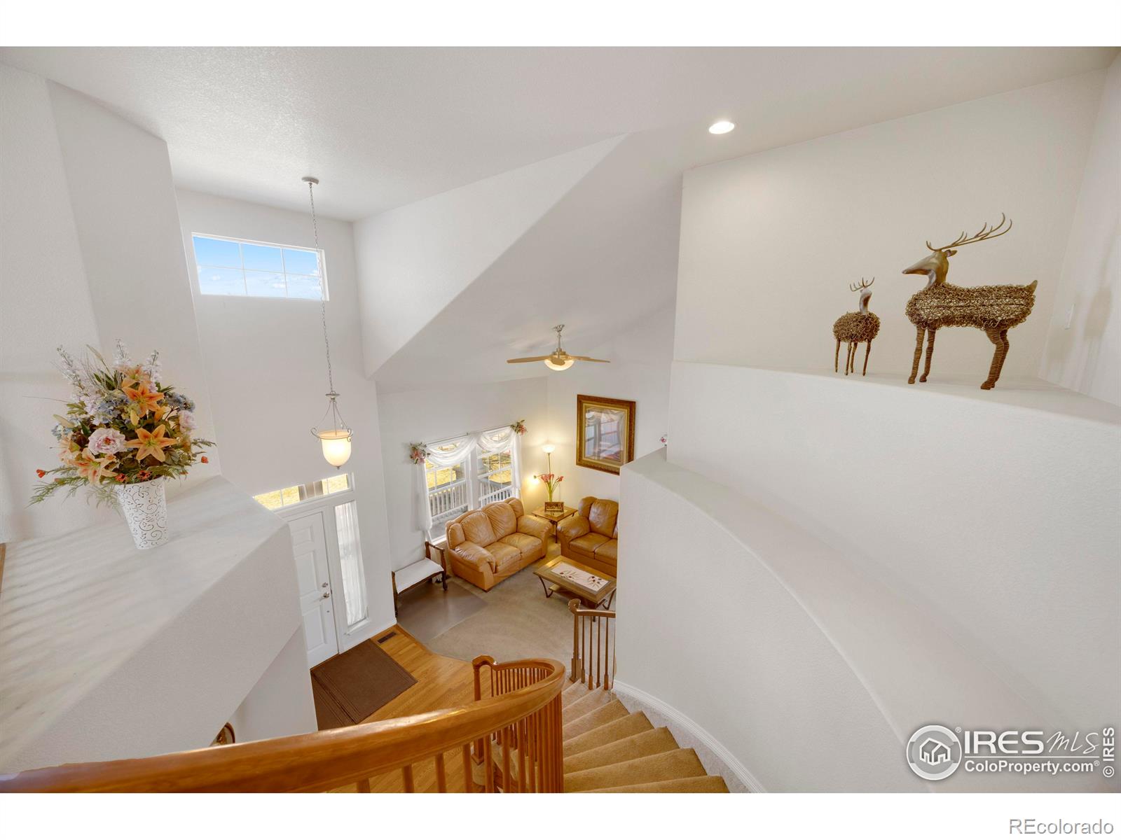 MLS Image #18 for 2260  aegean way,longmont, Colorado