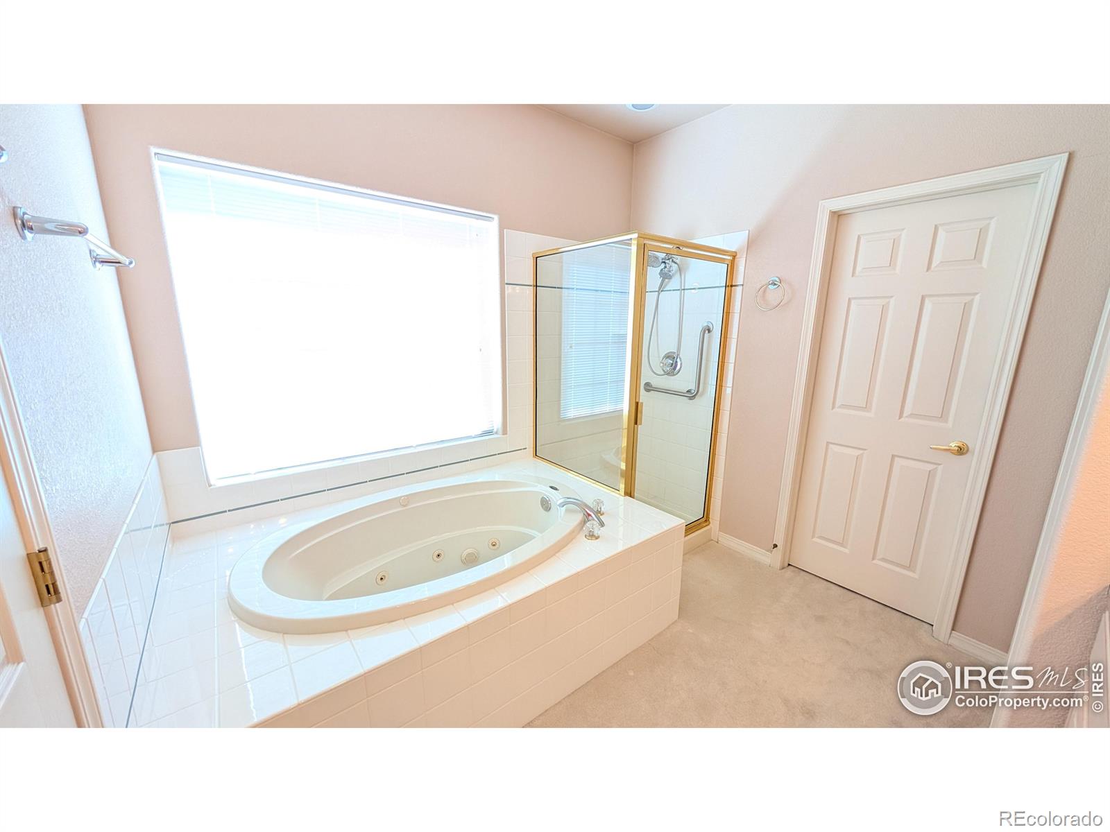MLS Image #10 for 746  megan court,longmont, Colorado