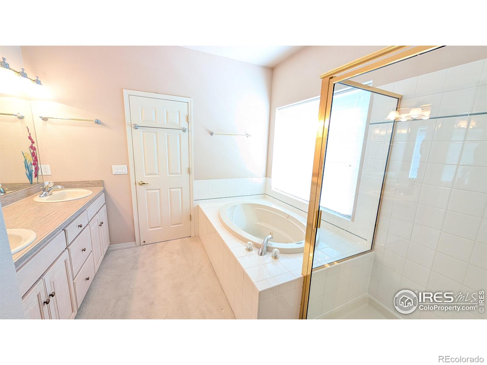 MLS Image #11 for 746  megan court,longmont, Colorado