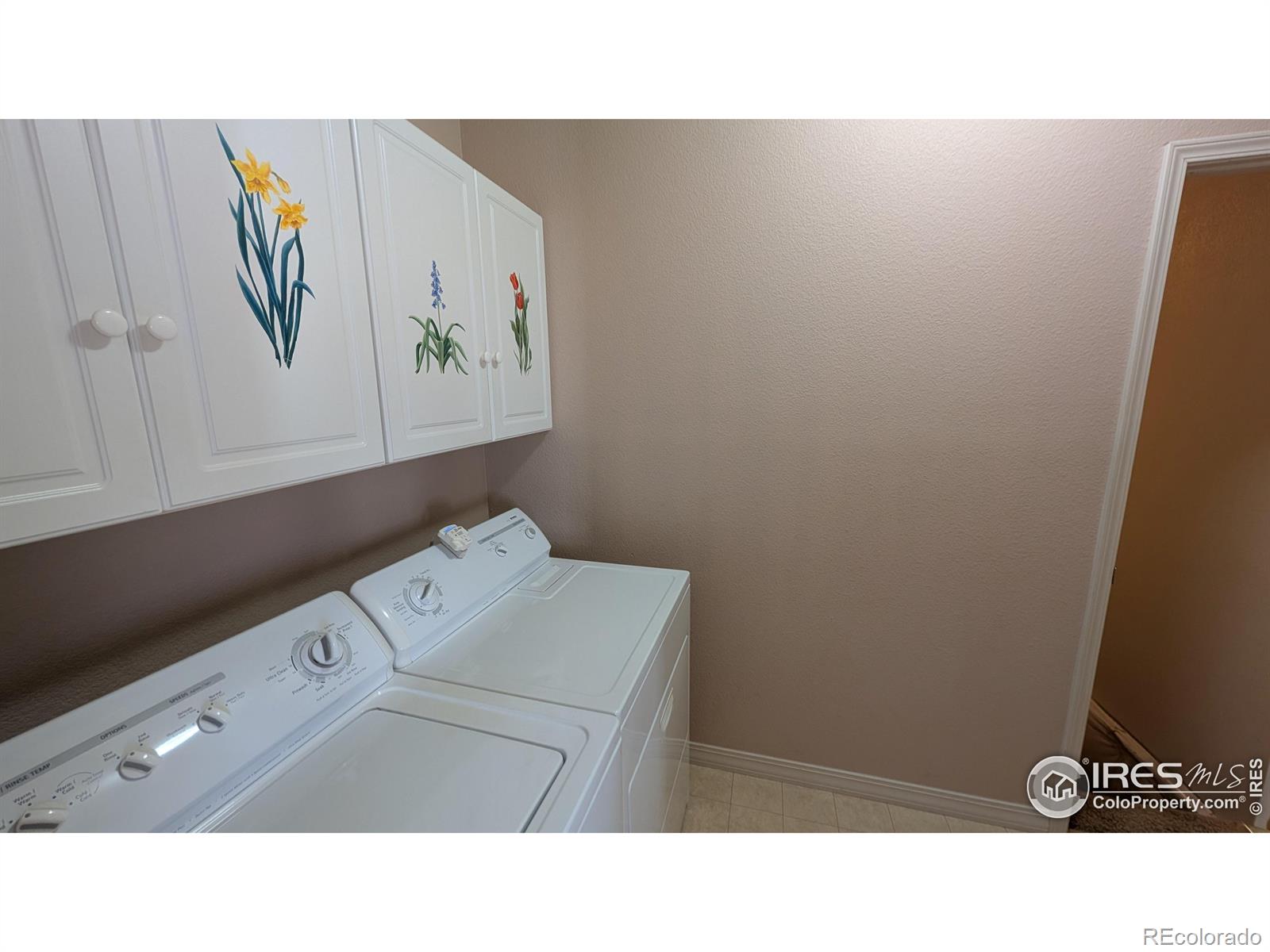 MLS Image #19 for 746  megan court,longmont, Colorado