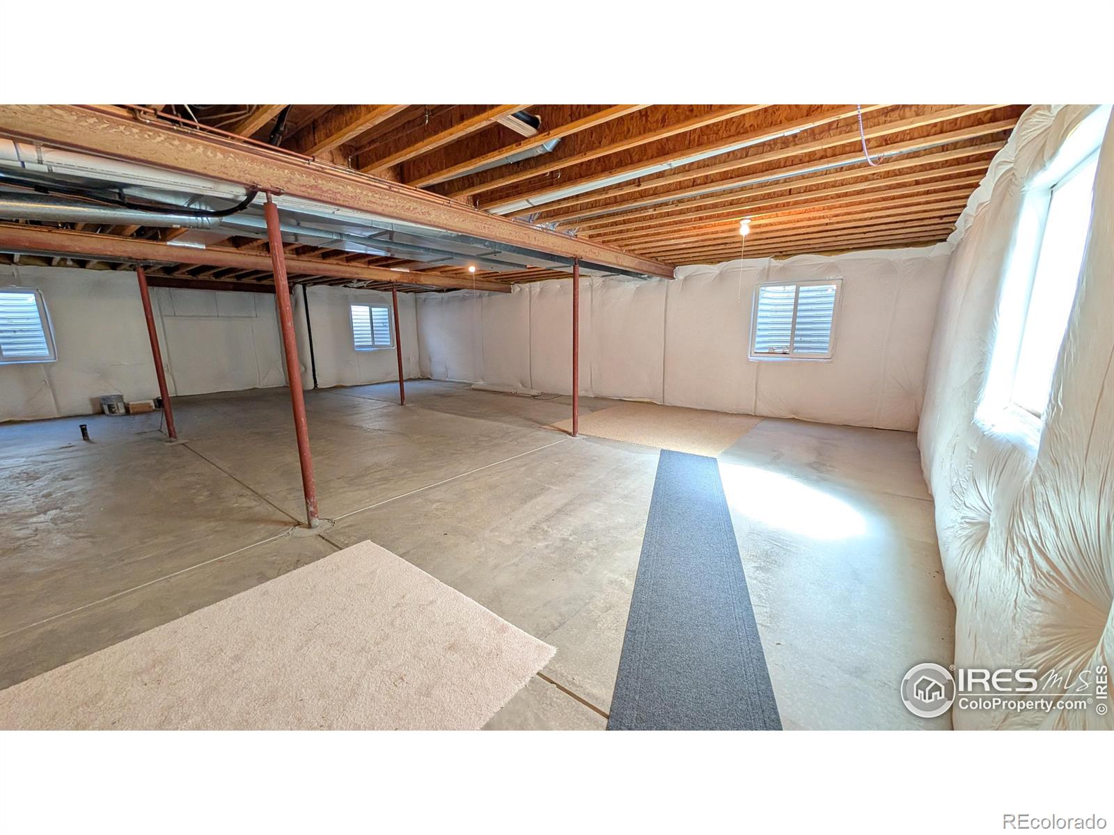 MLS Image #20 for 746  megan court,longmont, Colorado
