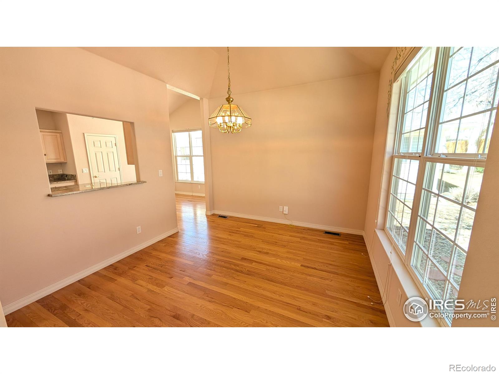 MLS Image #6 for 746  megan court,longmont, Colorado