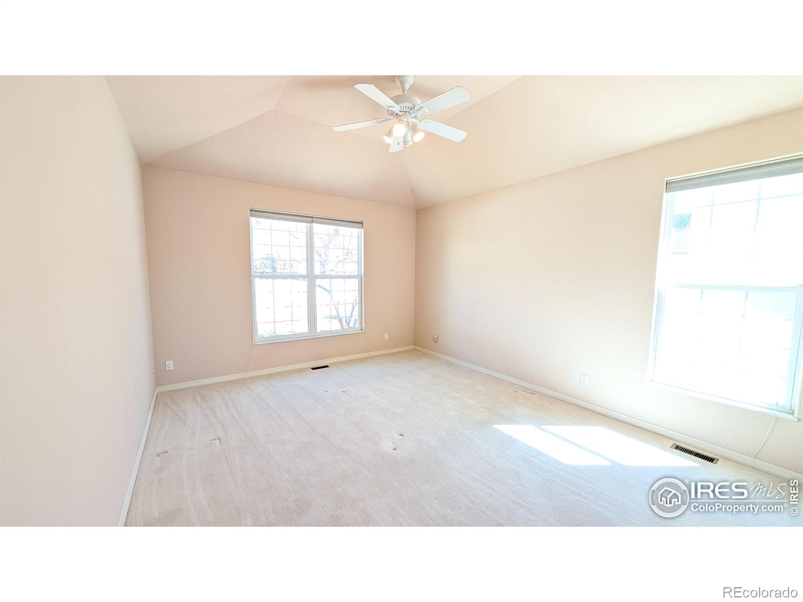 MLS Image #7 for 746  megan court,longmont, Colorado