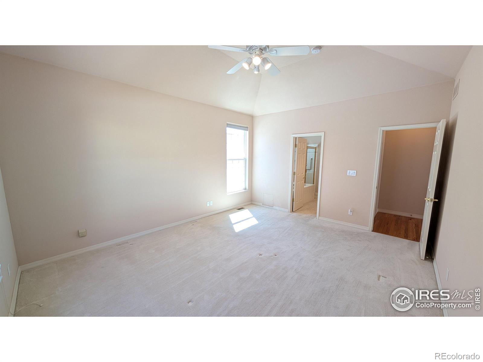 MLS Image #8 for 746  megan court,longmont, Colorado