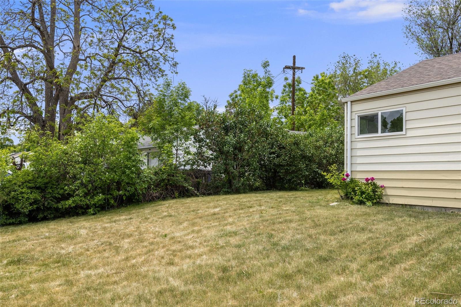 MLS Image #19 for 107 s windsor drive,denver, Colorado