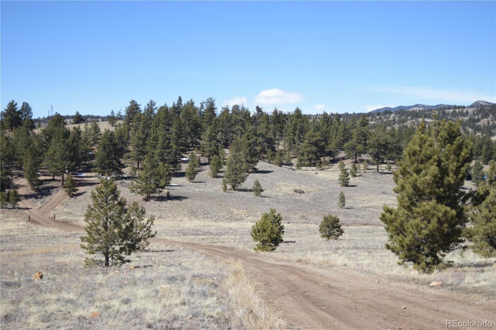 MLS Image #21 for 1861  badger creek road,hartsel, Colorado