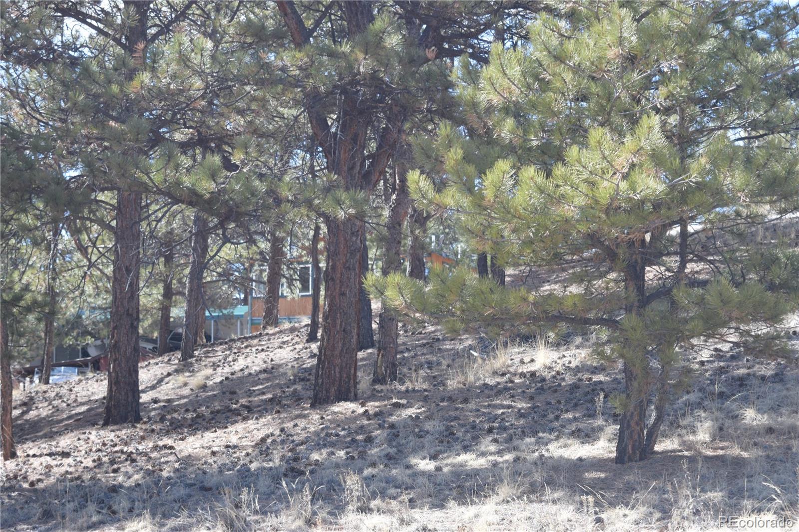 MLS Image #28 for 1861  badger creek road,hartsel, Colorado