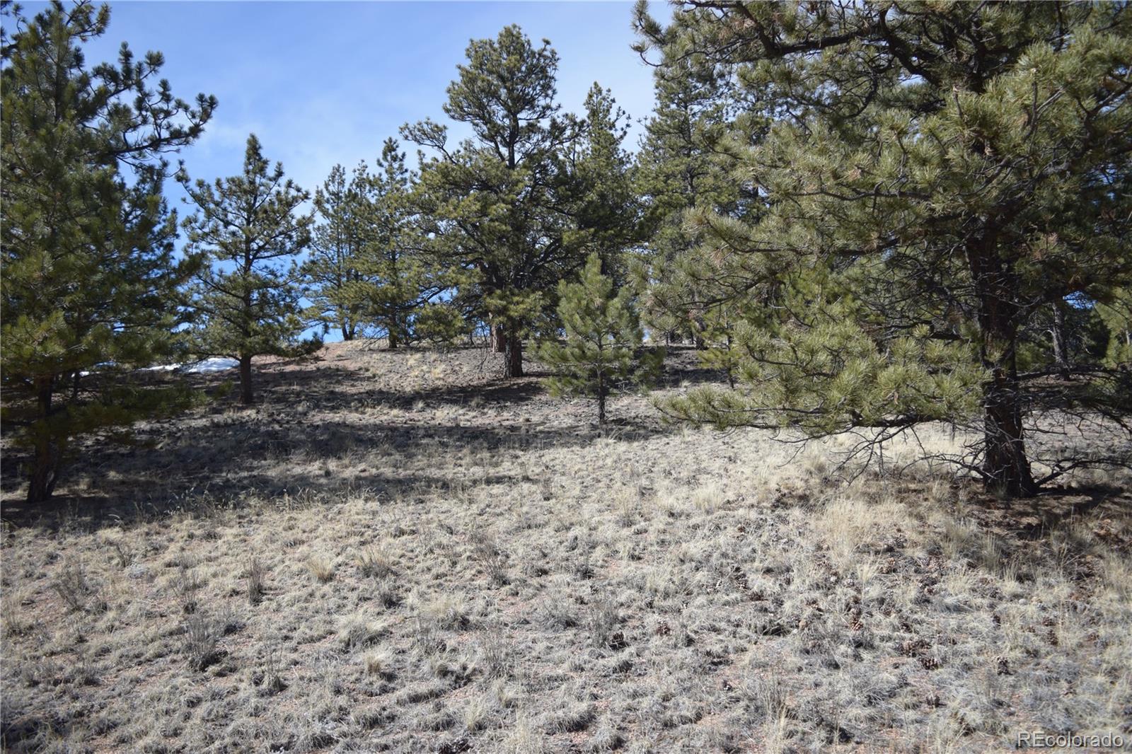 MLS Image #29 for 1861  badger creek road,hartsel, Colorado