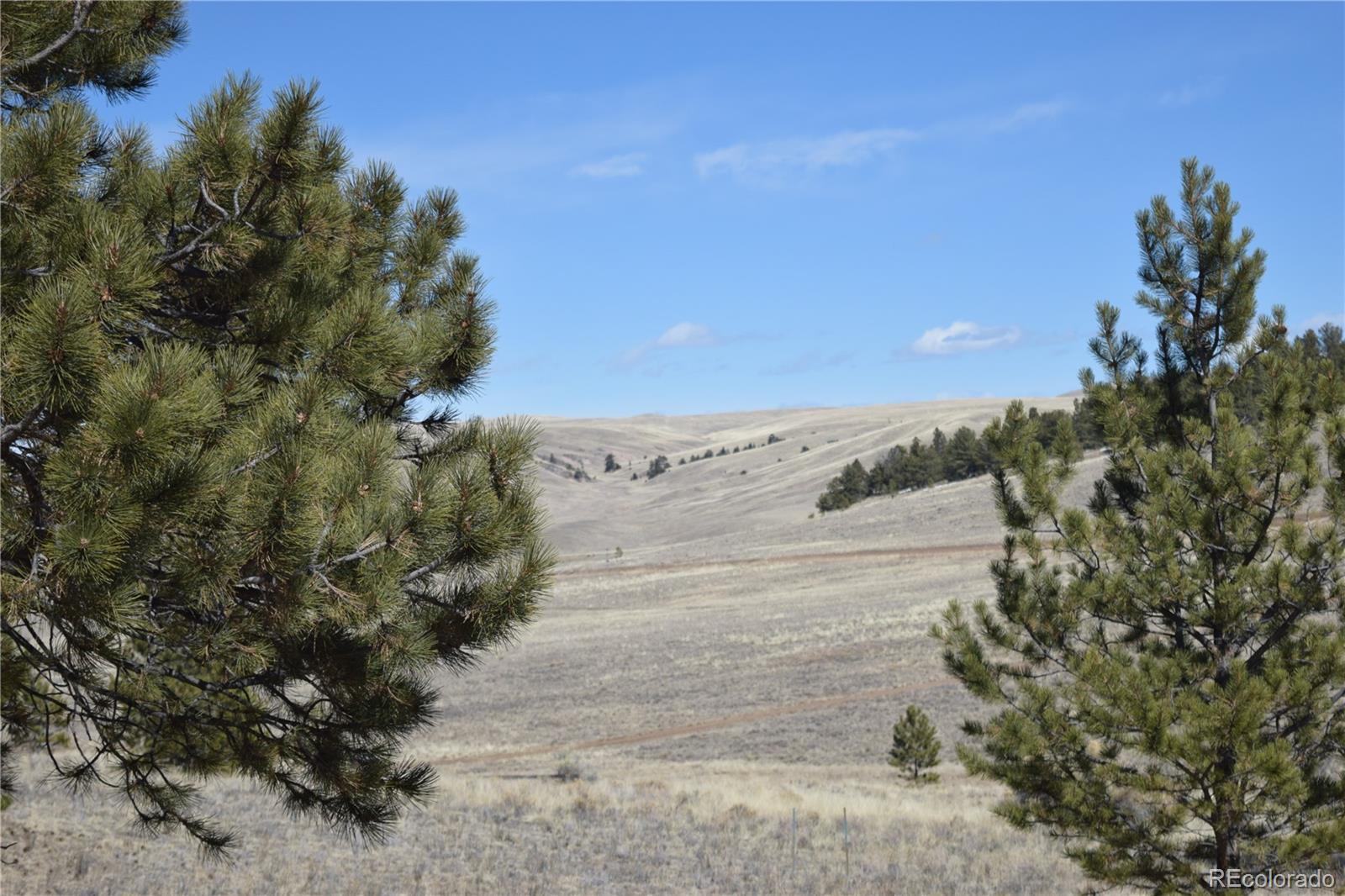 MLS Image #31 for 1861  badger creek road,hartsel, Colorado