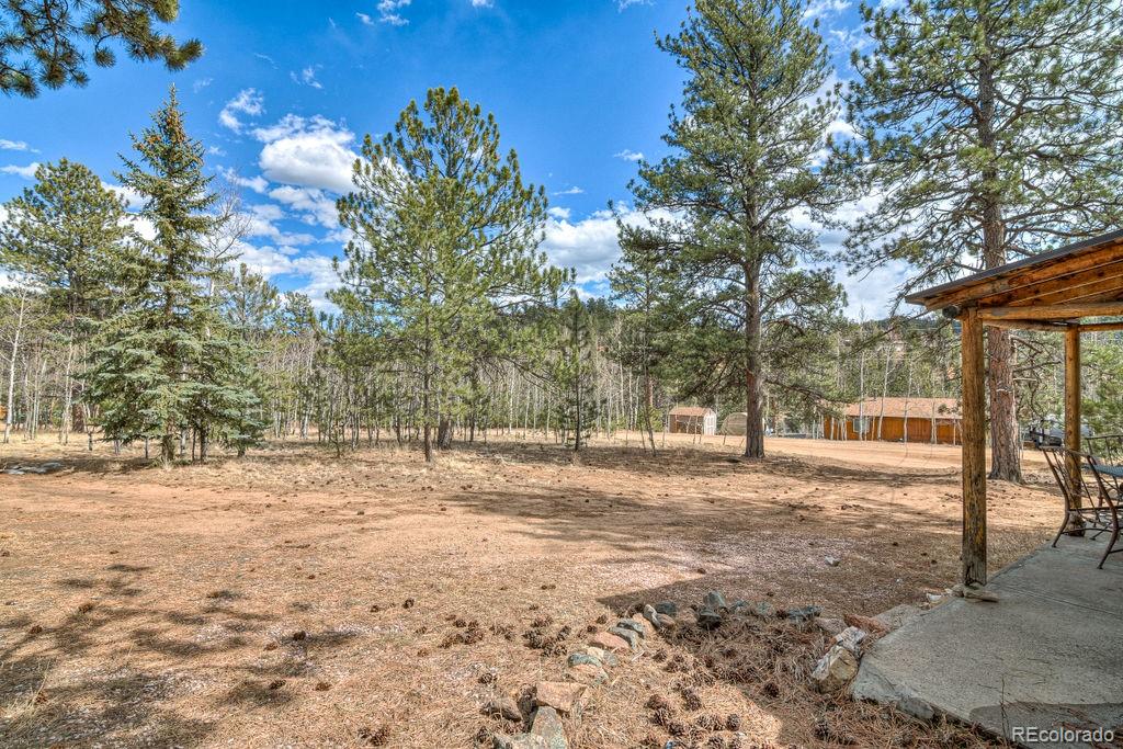 MLS Image #41 for 11  hupp road,bailey, Colorado