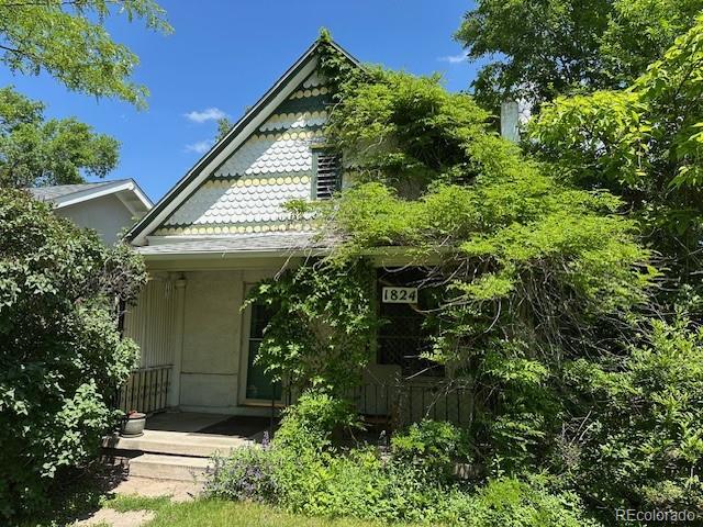 MLS Image #1 for 1824 s logan street,denver, Colorado