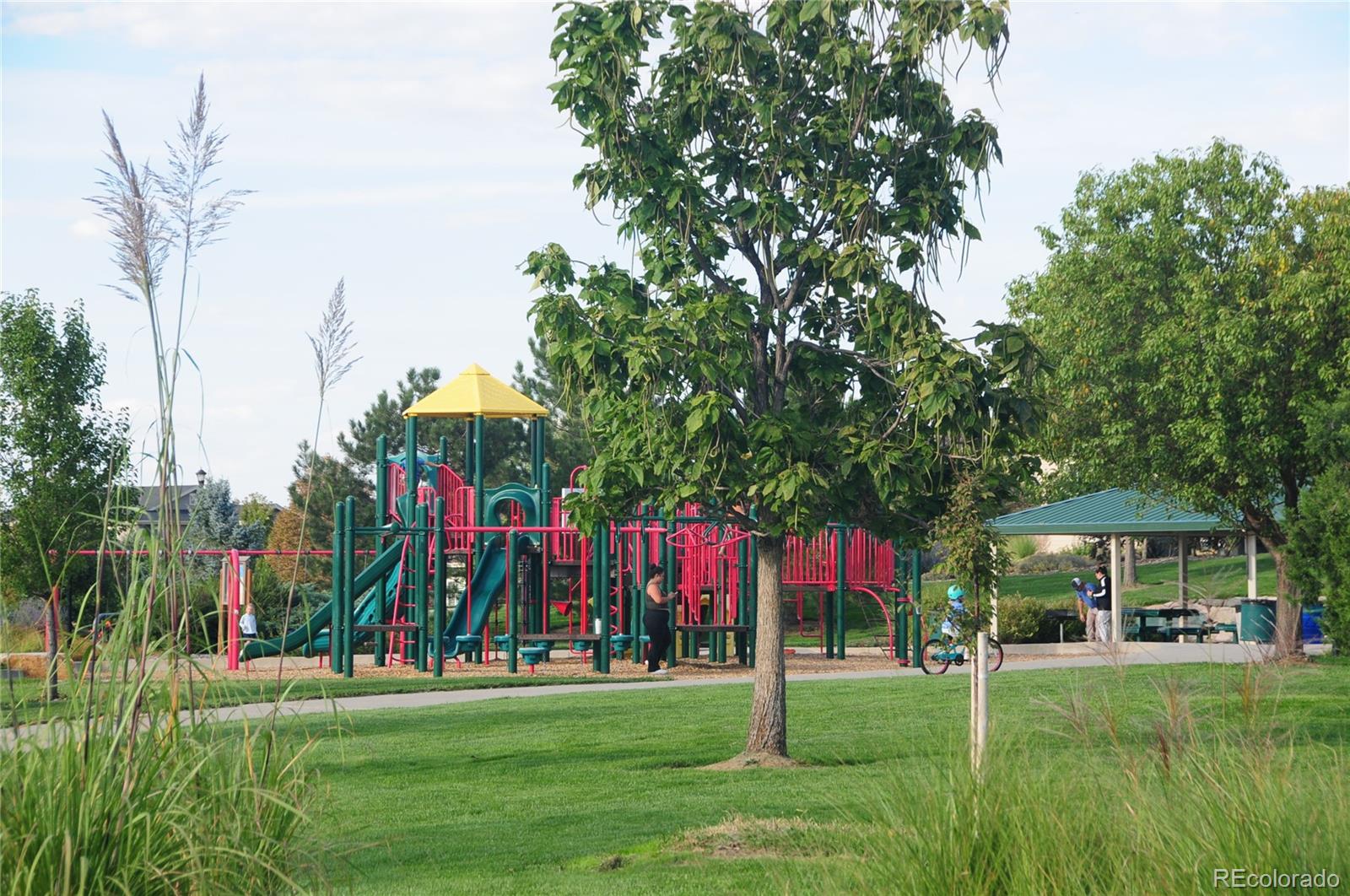 MLS Image #25 for 4746  raven run,broomfield, Colorado